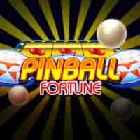 PINBALL FORTUNE