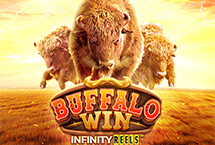 BUFFALO WIN INFINITY REELS