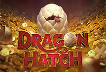 DGRAGON HATCH