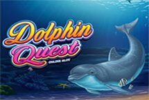 DOLPHINE QUEST