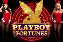 PLAYBOY FOTUNE